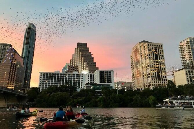 Congress Avenue Bat Bridge Kayak Tour in Austin - The Sum Up