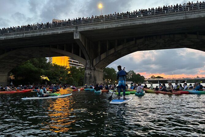 Congress Avenue Bat Bridge Paddleboard Tour - Final Thoughts