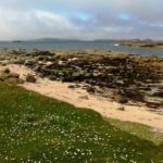 Connemara & Inishturk Island wildlife watching cruise. Private guided Full-day - Final Thoughts: Who Is This Tour Perfect For?