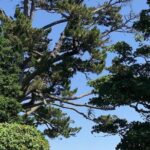 Connemara, Kylemore Abbey and Wild Atlantic Way tour from Galway - The Full Experience: What to Expect on the Tour