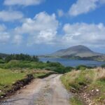 Connemara Sheep Farm experience & Kylemore Abbey by Lux Limousine - Who Is This Tour Best For?
