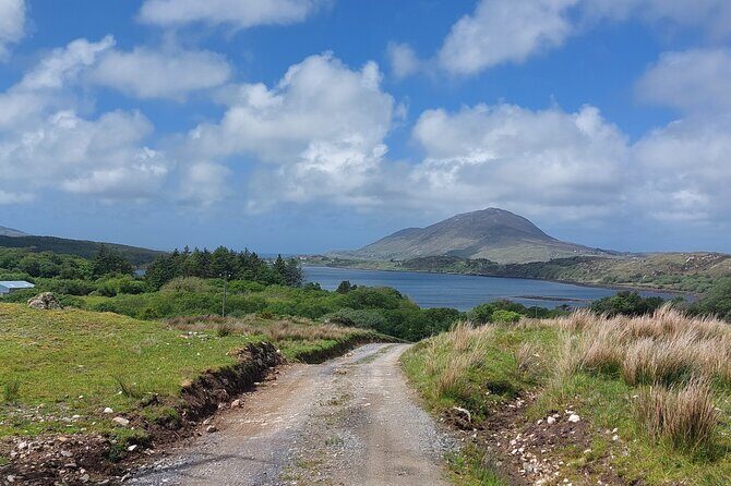Connemara Sheep Farm experience & Kylemore Abbey by Lux Limousine - Who Is This Tour Best For?