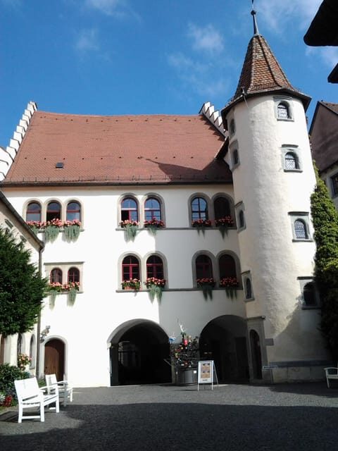 Constance: Public city tour with wine tasting - Who Will Love This Experience?