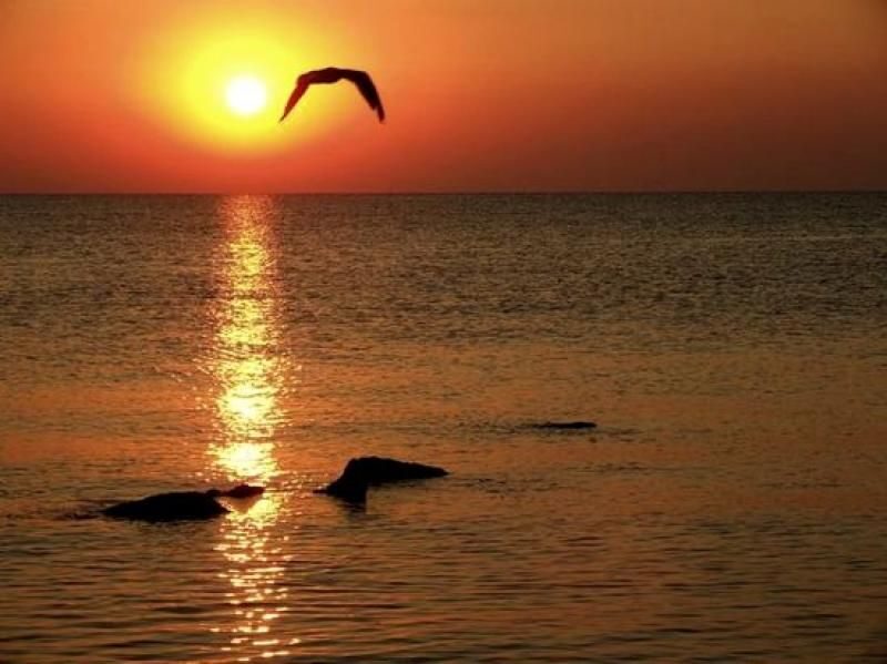 Constanta: Full Day Tour from Bucharest to the Black Sea - Who Would Love This Tour?