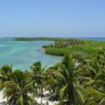 Contoy Island Tour from Playa del Carmen & Cancun - FAQ
