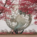 Contrasts of New York Tour - What’s Included and Why It Matters
