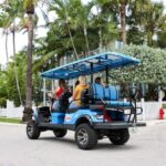 Convenient Key West Golf Cart Rentals  Ride Around Like a Local! - Why Choose Furys Golf Cart Rentals?
