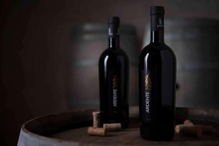 Conversano: wine tasting tour in the winery - The Sum Up: Is This Experience Right for You?