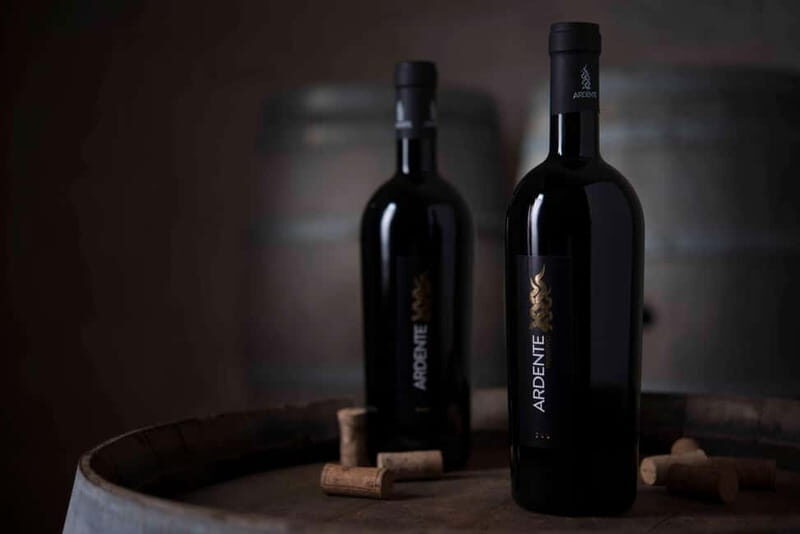Conversano: wine tasting tour in the winery - The Sum Up: Is This Experience Right for You?