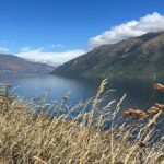 Convertible Picnic Tour Queenstown - Final Thoughts: Who Will Love This Experience?