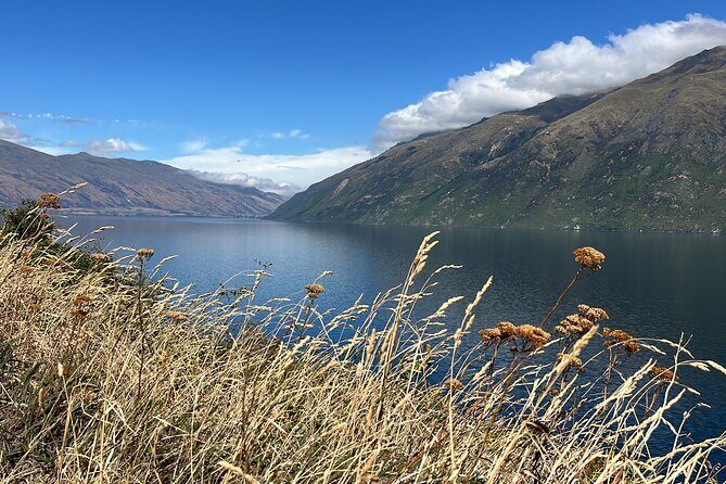 Convertible Picnic Tour Queenstown - Final Thoughts: Who Will Love This Experience?