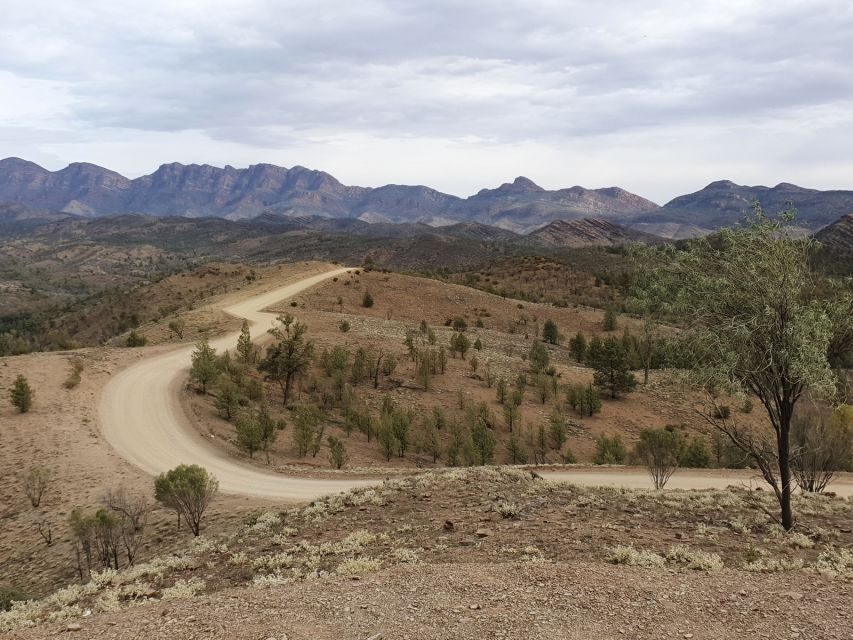 Coober Pedy: 7-Day Lake Eyre & Flinders Ranges 4WD Tour - Practical Details and Considerations