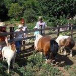 Cook like a local Greek Cooking lesson in Mt Pelion Greece - The Sum Up