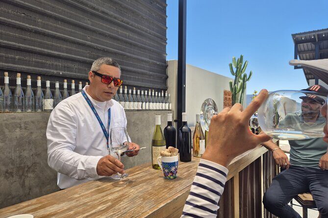 Cooking Class and Margarita Madness at Valle de Guadalupe - What We Really Like About This Tour