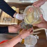 Cooking Class: hand made pasta from scratch in Sorrento - The Sum Up
