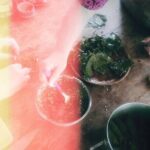 Cooking Classes by the Sea - Frequently Asked Questions