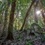 Copeland Tops National Park: Mountain Maid Gold Mine Tour - FAQs