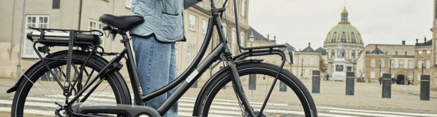 Copenhagen: 3 Hour Extended Grand E-Bike Guided Tour - The Experience: What It Feels Like