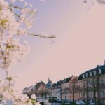 Copenhagen: Danish-Jewish History Tour - The Practical Side: Logistics, Value, and Accessibility