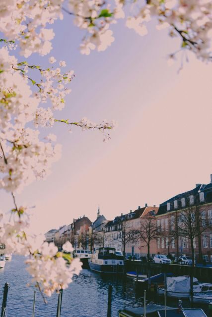 Copenhagen: Danish-Jewish History Tour - The Practical Side: Logistics, Value, and Accessibility