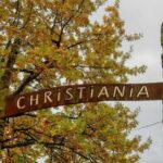 Copenhagen Old Town, Nyhavn, Canal Walking Tour & Christiana - What to Expect: A Closer Look at the Experience