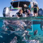 Coral Bay: 2-Hour Coral Viewing and Snorkeling - Who Will Love This Tour?