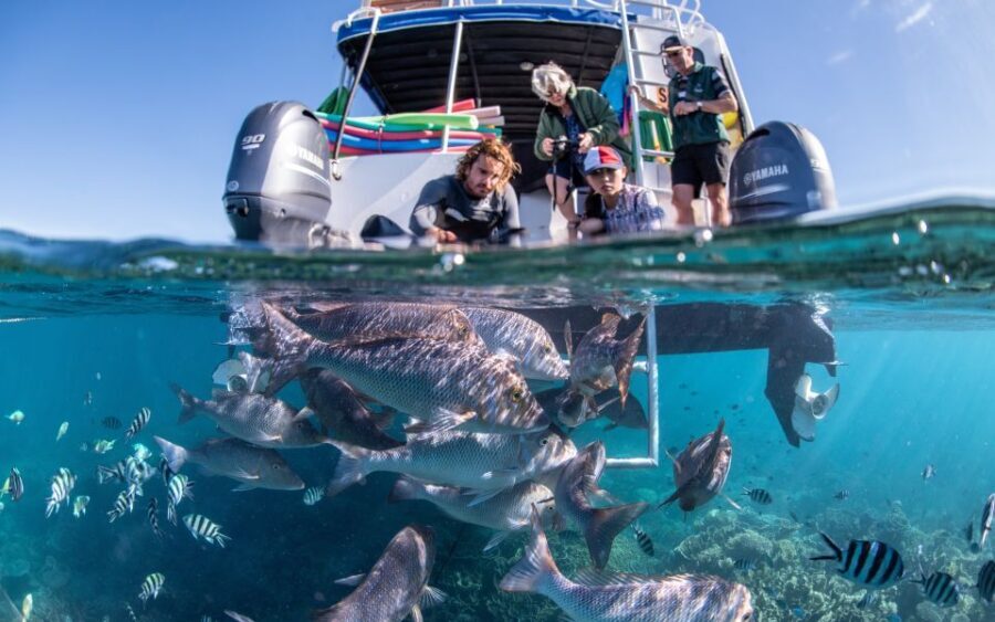 Coral Bay: 2-Hour Coral Viewing and Snorkeling - Who Will Love This Tour?