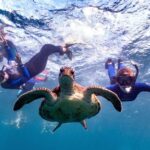 Coral Bay: Marine Eco Safari - Swim With Manta Rays - Who Will Love This Tour?