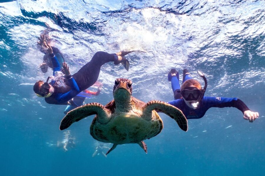 Coral Bay: Marine Eco Safari - Swim With Manta Rays - Who Will Love This Tour?