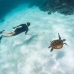 Coral Bay: Ningaloo Reef 3-Hour Turtle Ecotour - Final Thoughts