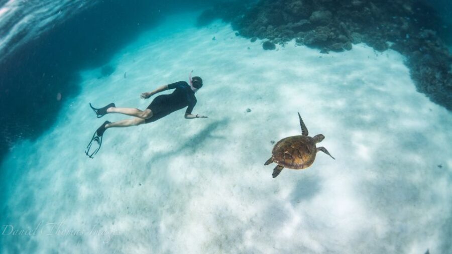 Coral Bay: Ningaloo Reef 3-Hour Turtle Ecotour - Final Thoughts