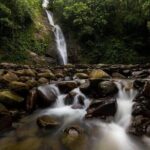 ''Coral Coast Adventure: Biausevu Waterfall & Natadola Beach !'' - Authentic Reviews and What They Tell Us
