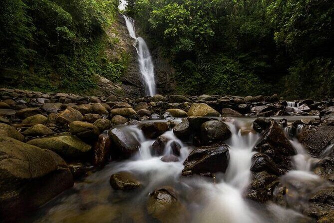 ''Coral Coast Adventure: Biausevu Waterfall & Natadola Beach !'' - Authentic Reviews and What They Tell Us