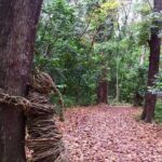 Coral Coast sand dunes & Natadola Beach trip - Final Thoughts