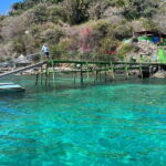 Coral island guayabitos beach and snorkeling - Who Should Consider This Tour?