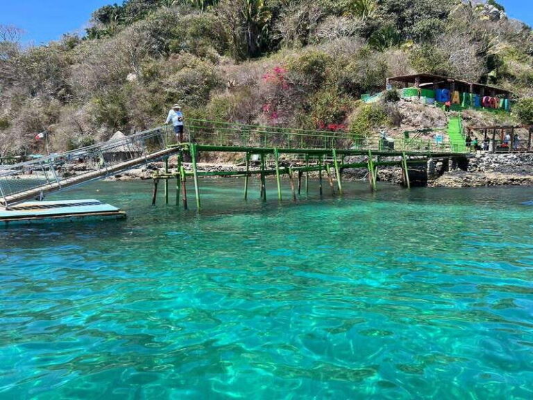 Coral island guayabitos beach and snorkeling - Who Should Consider This Tour?