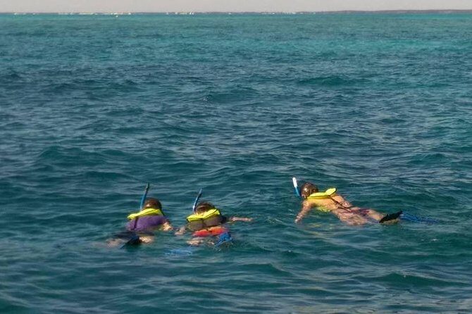 Coral Reef Private Snorkel tour out to John Pennekamp Coral Reef State Park - Who Will Love This Tour?