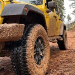 Cordoba: Guided Jeep Tour in Stanislaus National Forest - A Detailed Look at the Jeep Tour Experience