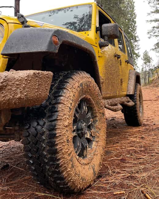 Cordoba: Guided Jeep Tour in Stanislaus National Forest - A Detailed Look at the Jeep Tour Experience