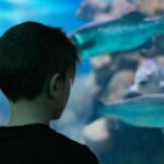 Corfu: Aquarium Entry Ticket with Guided Tour - An In-Depth Look at the Corfu Aquarium with Guided Tour
