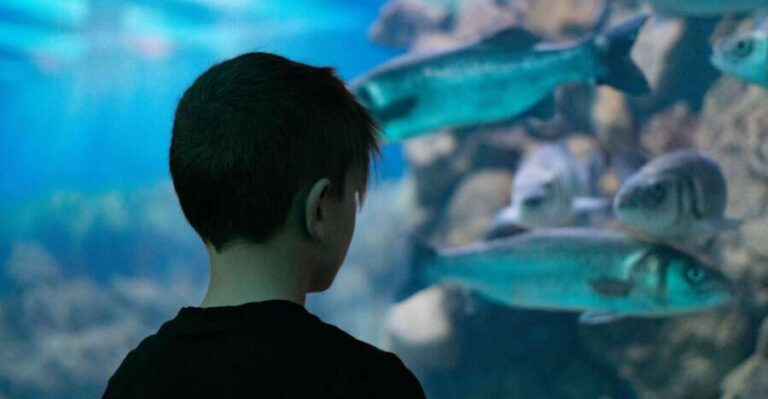 Corfu: Aquarium Entry Ticket with Guided Tour - An In-Depth Look at the Corfu Aquarium with Guided Tour