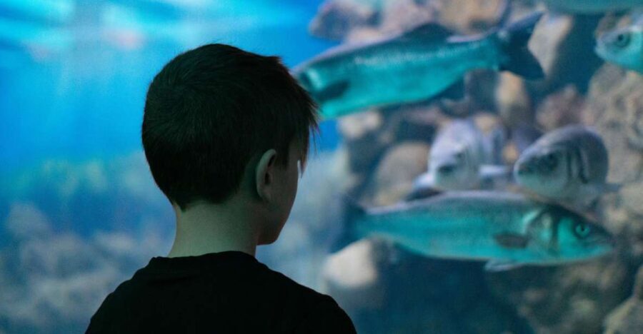 Corfu: Aquarium Entry Ticket with Guided Tour - An In-Depth Look at the Corfu Aquarium with Guided Tour