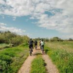 Corfu: E-Bike Tour with Olive Oil Tasting - Practical Details and What to Know Before You Go