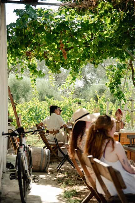 Corfu: E-Bike Tour with Wine Tasting and Winery Visit - Who Should Consider This Tour?