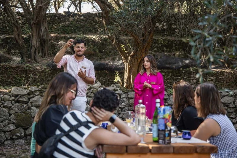 Corfu: Guided Olive Groves Tour with Olive Oil Tasting - The Sum Up
