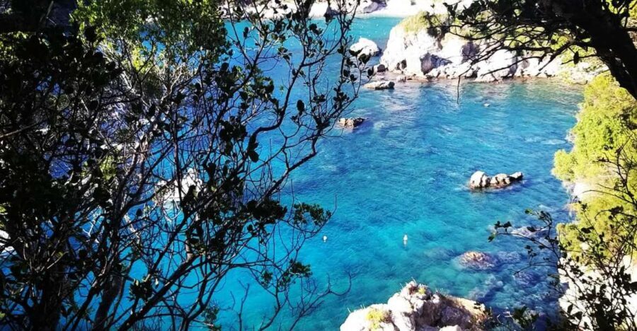 Corfu: Hiking in Olive Groves,Village,Sunset,with Swim Stop - The Experience: What Travelers Say