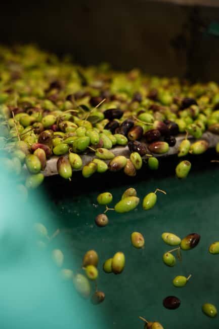 Corfu: Olive Oil and Kumquat Tasting Tour with Minivan - Who Will Love This Tour?