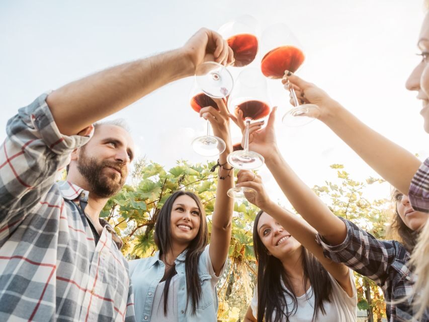 Corinth: Winery Tour and Organic Fine Wine Tastings - Why This Experience Offers Great Value