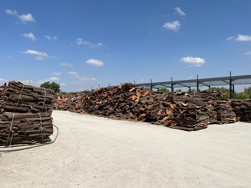 Cork Factory, Wine Tasting & Évora Visit - Who Will Love This Tour?
