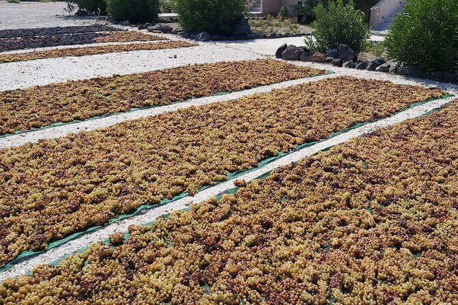 Cork & Fork Tour in Santorini with 2 Wineries and Lunch - The Practical Side: Logistics, Price, and Tips